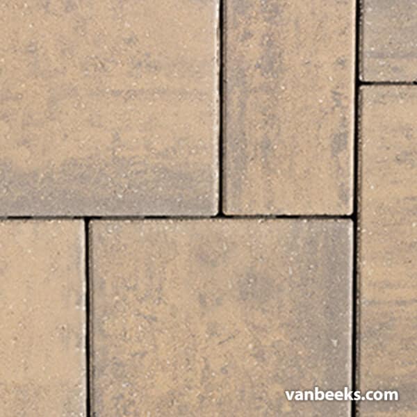 BWS Trevista 50 Concrete Paver